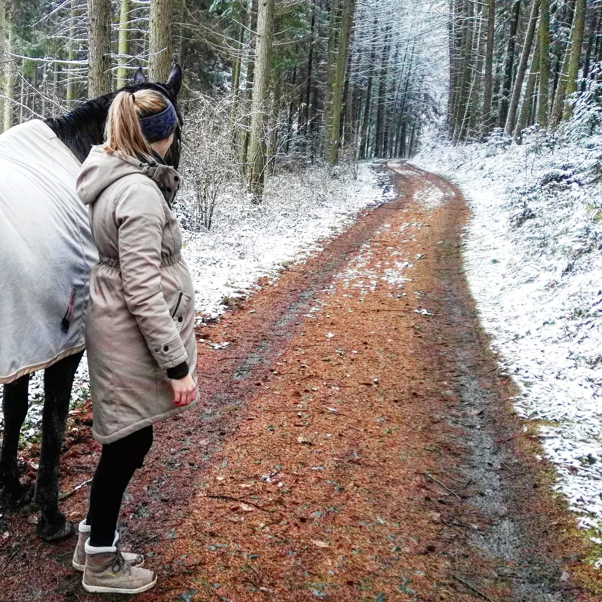 Nina von Pferdvertraut hat mir im Interview 11 Fragen zu meiner Reise mit Pferden gestellt:

pferdvertraut.wordpress.com/2017/12/14/11-…