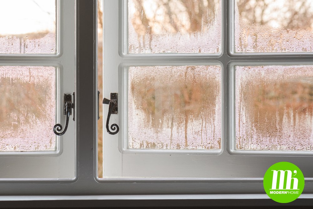 Modernhometours's tweet photo. Source de bactéries et néfaste pour la santé, l'humidité vous fait consommer d'avantage, surtout en hiver ❄️
Comment s'en débarrasser ? 
Aérez vos pièces, faites installer une VMC, plusieurs choix s'offrent à vous.
Pour vos solutions ventilation pensez à Modern'Home ! https://t.co/I2CCymROmd