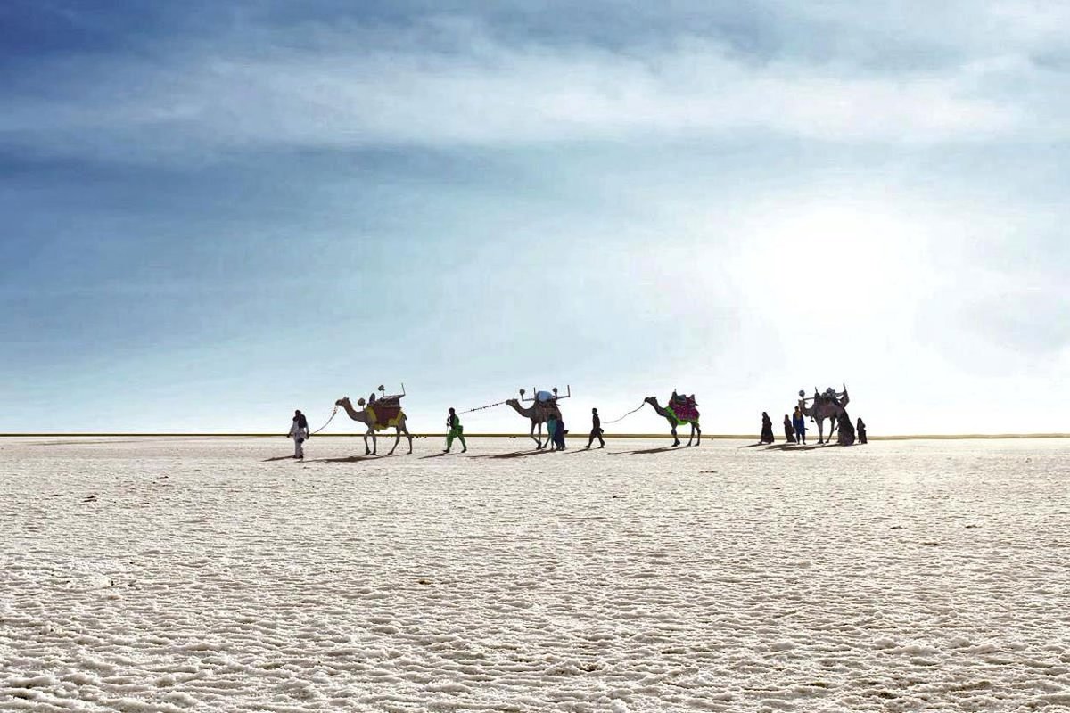 JourneyMart's tweet photo. #Kutch, the white desert city of #Gujarat is the one city that has majestic and royalty written all over it.
Explore more : https://t.co/GQknVVoJ3W
 #RannUtsav #Kutch #Gujarat #RannOfKutch #BestTimeToVisit #TravelIdeas  #Sightseeing #TravelGujarat #IncredibleIndia #JourneyMart https://t.co/4DQioXAm2Q