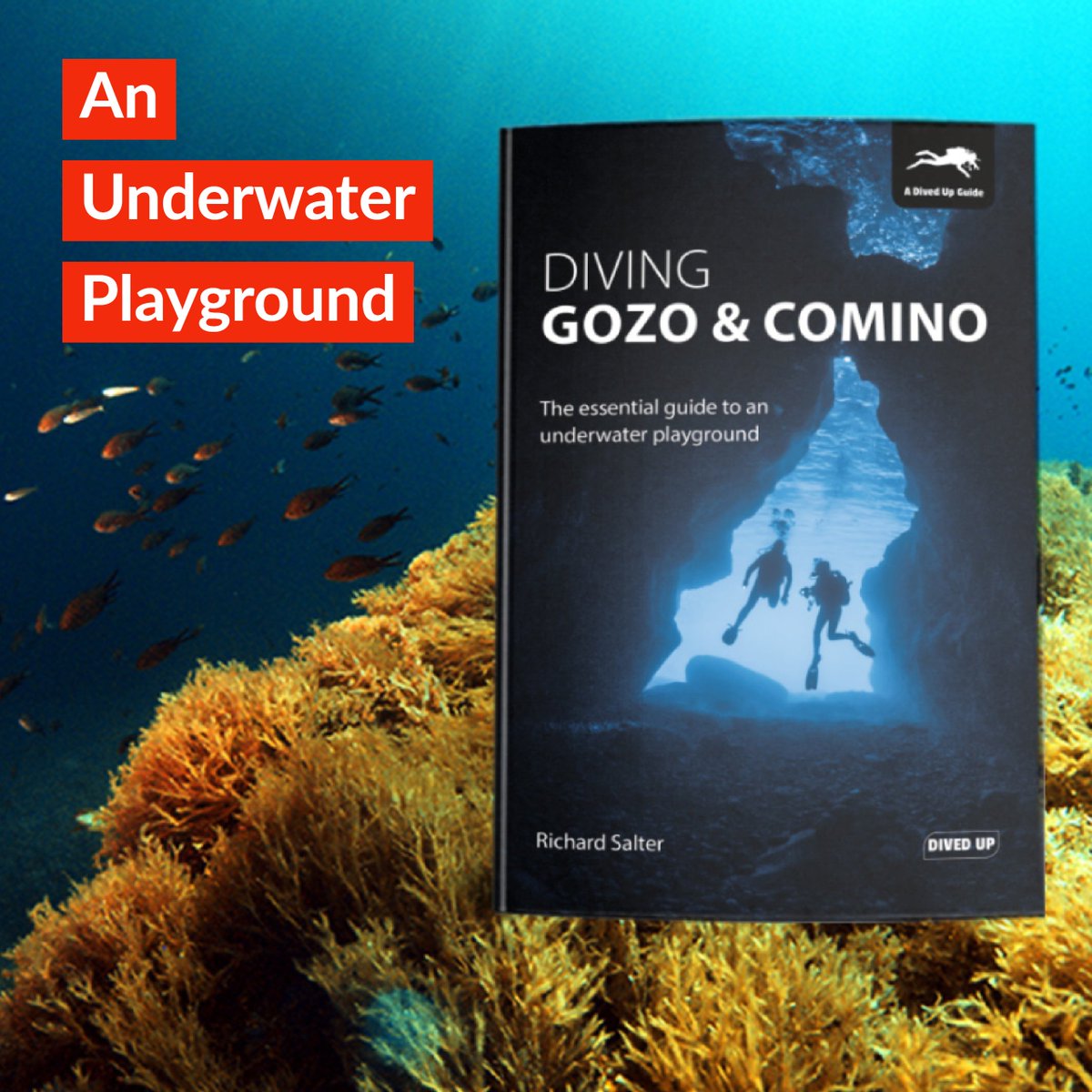 Richard Salter's new guide is the essential companion volume to a trip to one of Europe's top destinations. With site maps, photos, routes, advice &amp; reviews like 'this is a very good guide' (Diver magazine)... Find out more: divedup.com/shop/diving-go…