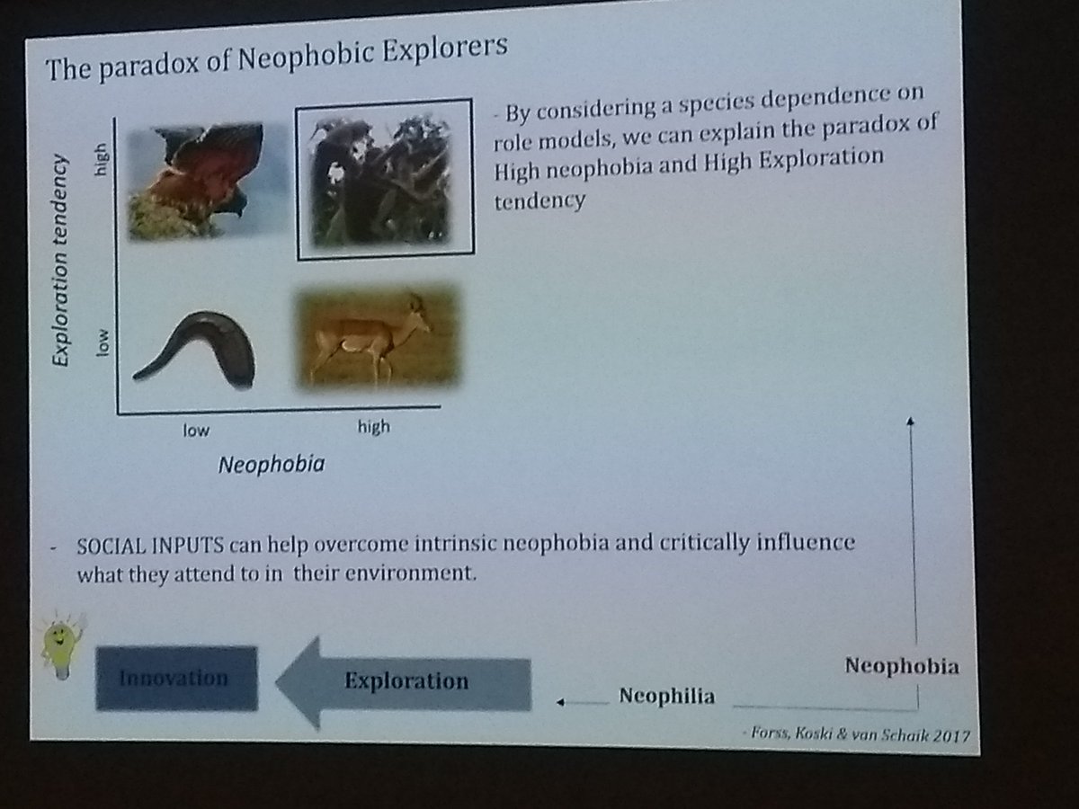 Interesting talk by Sofia Forss on how sociality influences novelty response, with important implications for innovation. #GFT #SocialComplexity