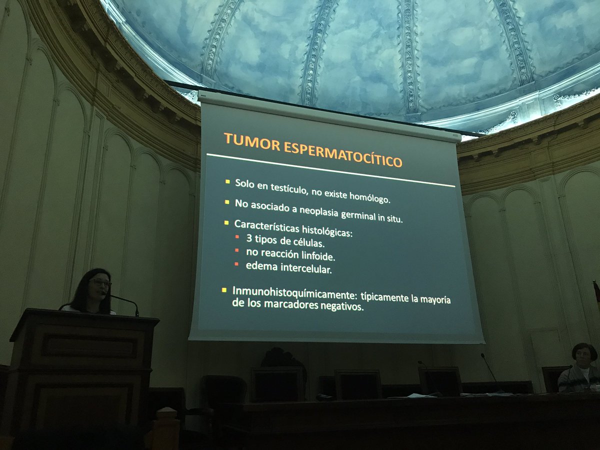 tlabiano's tweet photo. Tumor espermatocítico #GUpath tumor raro con buen pronóstico. Dra L Perez #160RNSEAP https://t.co/2jo46vXPnF