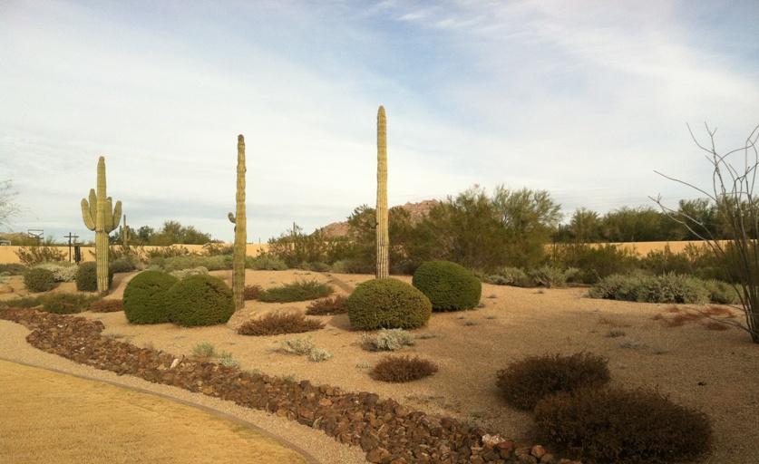 Sunset_Land_AZ's tweet photo. We employ our own technicians and avoid subcontracting so you can enjoy a better quality landscape!
#BetterQuality #Phoenix 
https://t.co/37GsEF3sA4 https://t.co/1c7wFDRJND