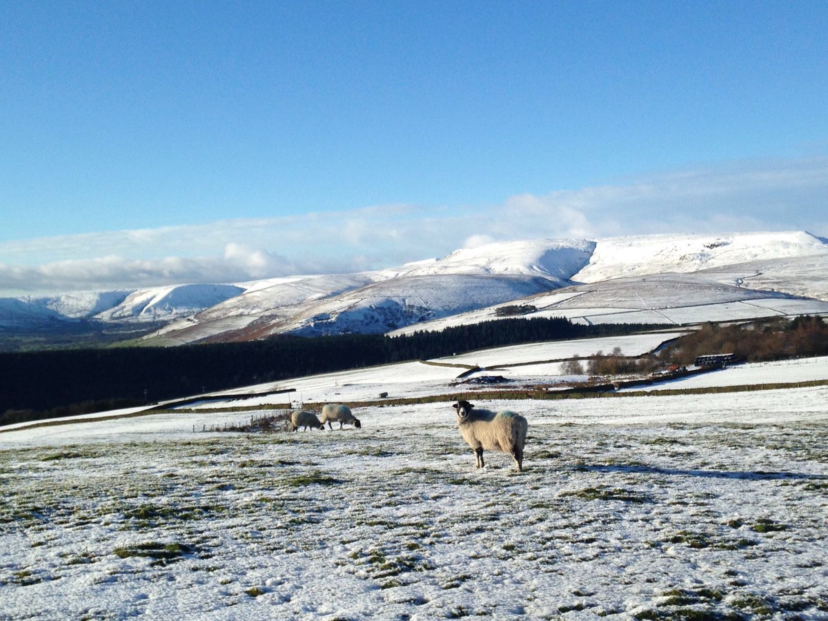 Roger Start tweet media