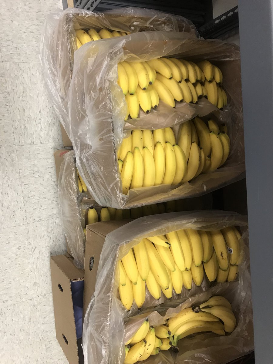 danaebgm's tweet photo. What my super power? I am a food rescuer @harvestproject_ ! #foodrescue #HealthyFood #uglyfruitisyummy #hereisthefood https://t.co/fNCeqLGAGL