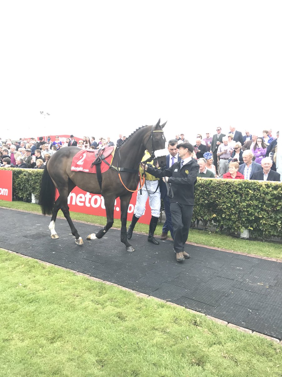 NiamhSpiller's tweet photo. My man #Argante makes his return to the track today @ChelmsfordCRC Good Luck @HSpillerRacing @RodTheOligarch & Fran Berry. I’ll have my 🤞 @tattscheltenham https://t.co/pJUjyfnlkd