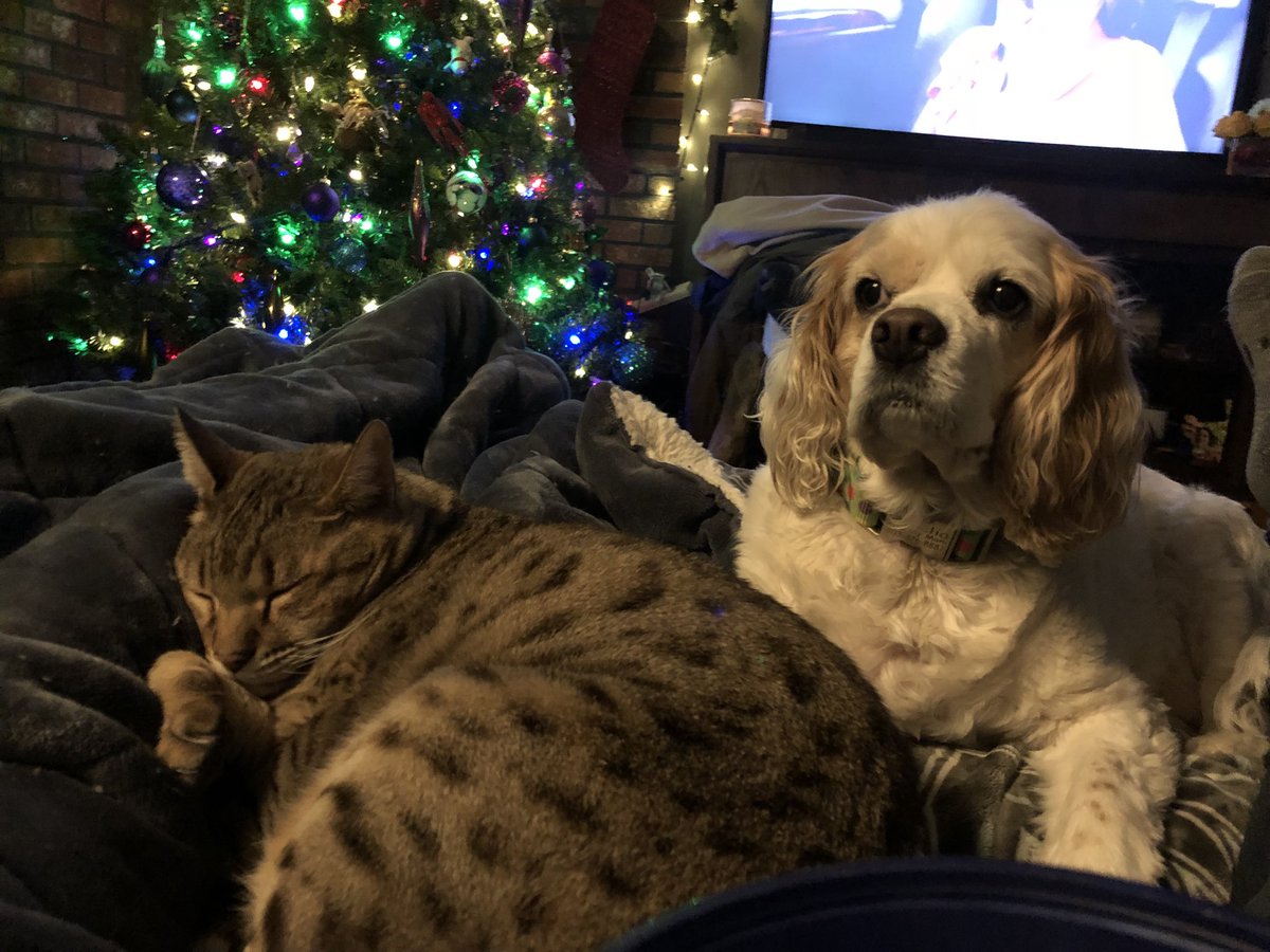 The girls hangin’ by the tree. #IHXHolidayFun