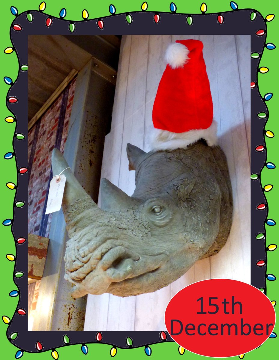 ReclaimedWorld's tweet photo. Reclaimed World #AdventCalendar: Day 15
Out of #Africa! Ronald our resident #rhino is really getting into the #festive spirit!
#cheshire #reclamation #salvage #antiques #christmastree #vintage #home #garden #christmas #taxidermy #vegantaxidermy #head #safari #hat #AfricanFestive https://t.co/KkSOeIeNeK