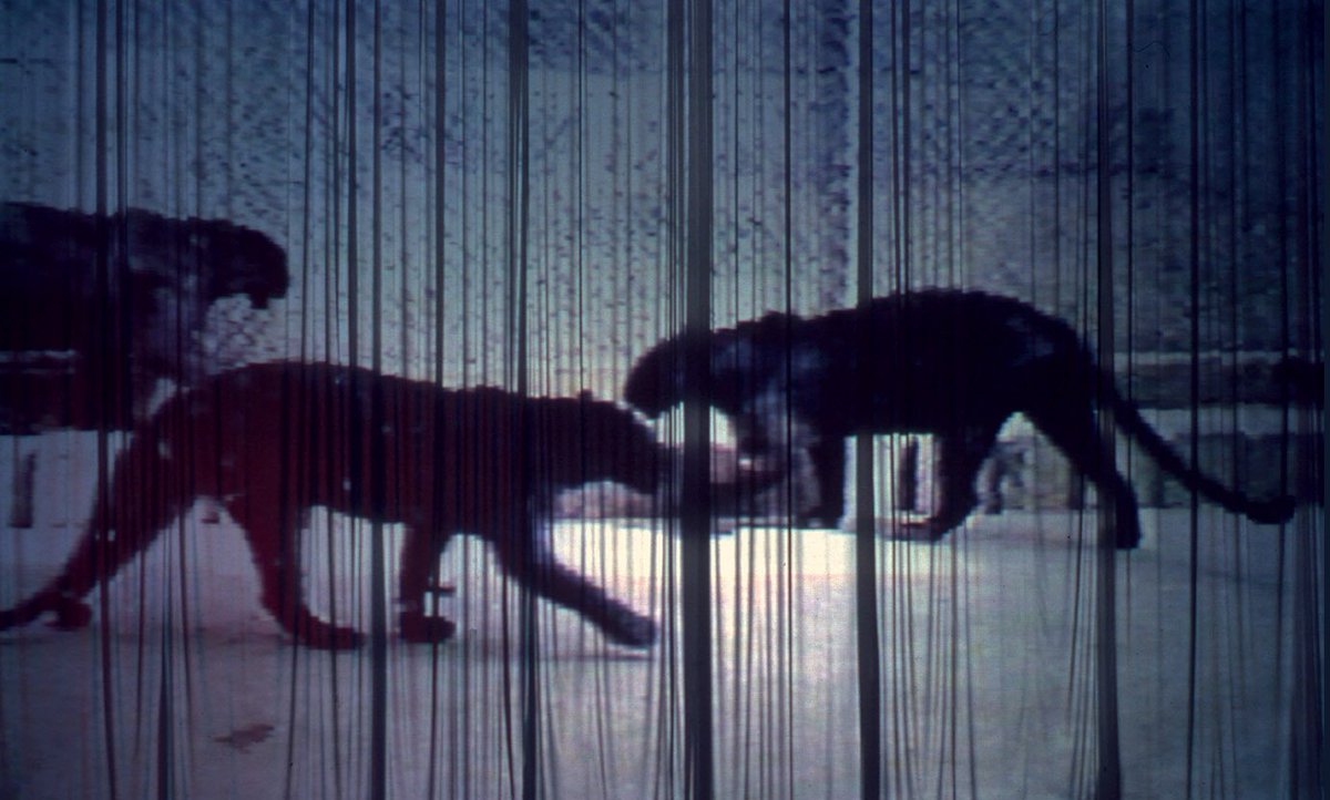 En la trayectoria de Paloma Navares - artista de #ColecciónENAIRE- la luz se ha evidenciado como el elemento más importante en su obra  ☄️ ➡️ bit.ly/2nWMKS2