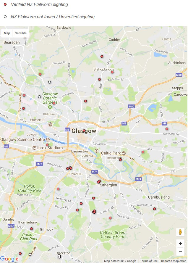 wildjod's tweet photo. We've been collecting your #NZflatworm records. Red dots are flatworm white dots are flatworm free. Still a few earthworm havens in #Glasgow is your garden one of them? #citizenscience #INNS https://t.co/wNIYR6SoUA