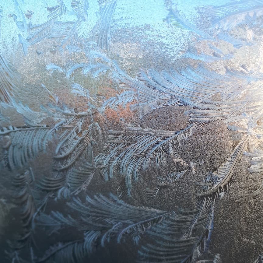 HeyhoeCreative's tweet photo. I don't like it being this cold, especially when I've been through three cans of de-icer already, but you've got to admit frost is pretty! #Frosty #prettypatterns https://t.co/9KEdrWpeG8