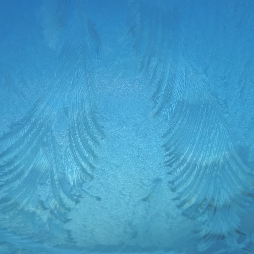 HeyhoeCreative's tweet photo. I don't like it being this cold, especially when I've been through three cans of de-icer already, but you've got to admit frost is pretty! #Frosty #prettypatterns https://t.co/9KEdrWpeG8