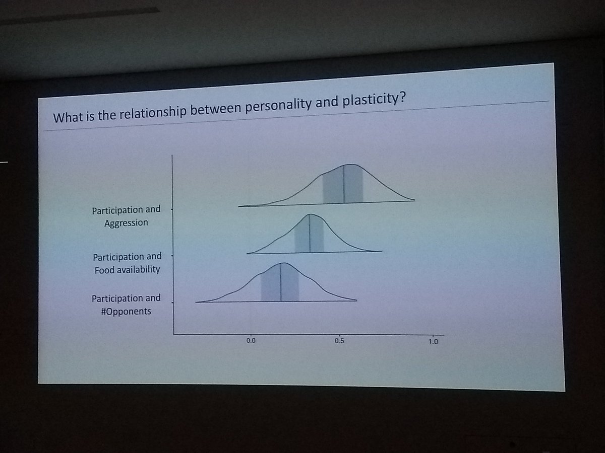 Flavia Koch now showing consistent behavioral variability in individual participation in group encounters in #vervets. Implications for the emergence of cooperation? #GFT #SocialComplexity
