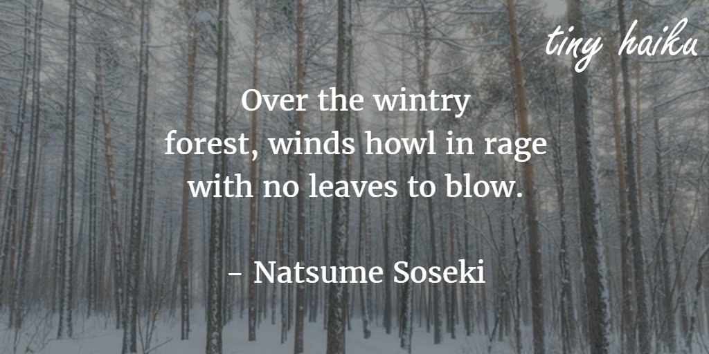 tinyhaiku's tweet photo. Over the wintry
forest, winds howl in rage
with no leaves to blow.

- Natsume Soseki
#haiku #micropoetry #poetry https://t.co/mvrwkGCeTM
