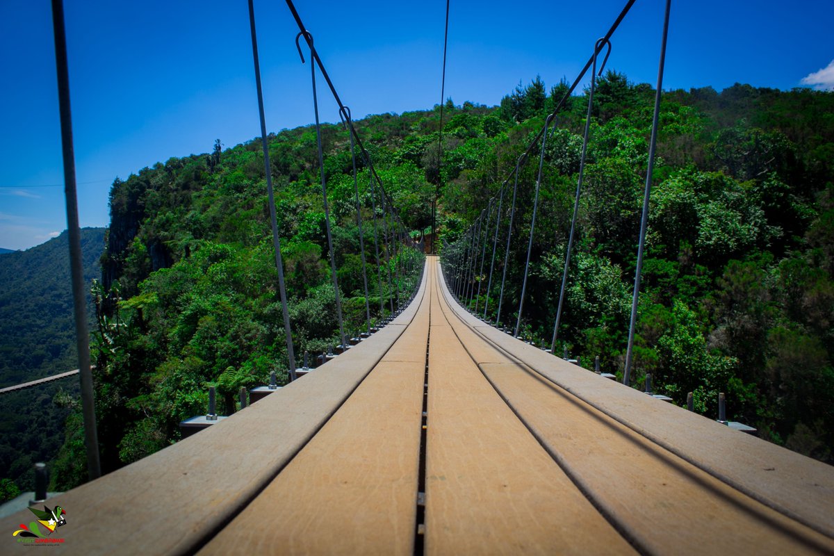 sam_in_zimbabwe's tweet photo. Views from above the #2ndHighest #Waterfall in #Africa -#MtaraziFalls. While standing on the #SkyBridge. #SkyWalker
#VisitZimbabwe #WeekendEscapesZW #Zimbabwe #Africa #Adventure #Scenic #Trrvel https://t.co/jgLeBPVWsd
