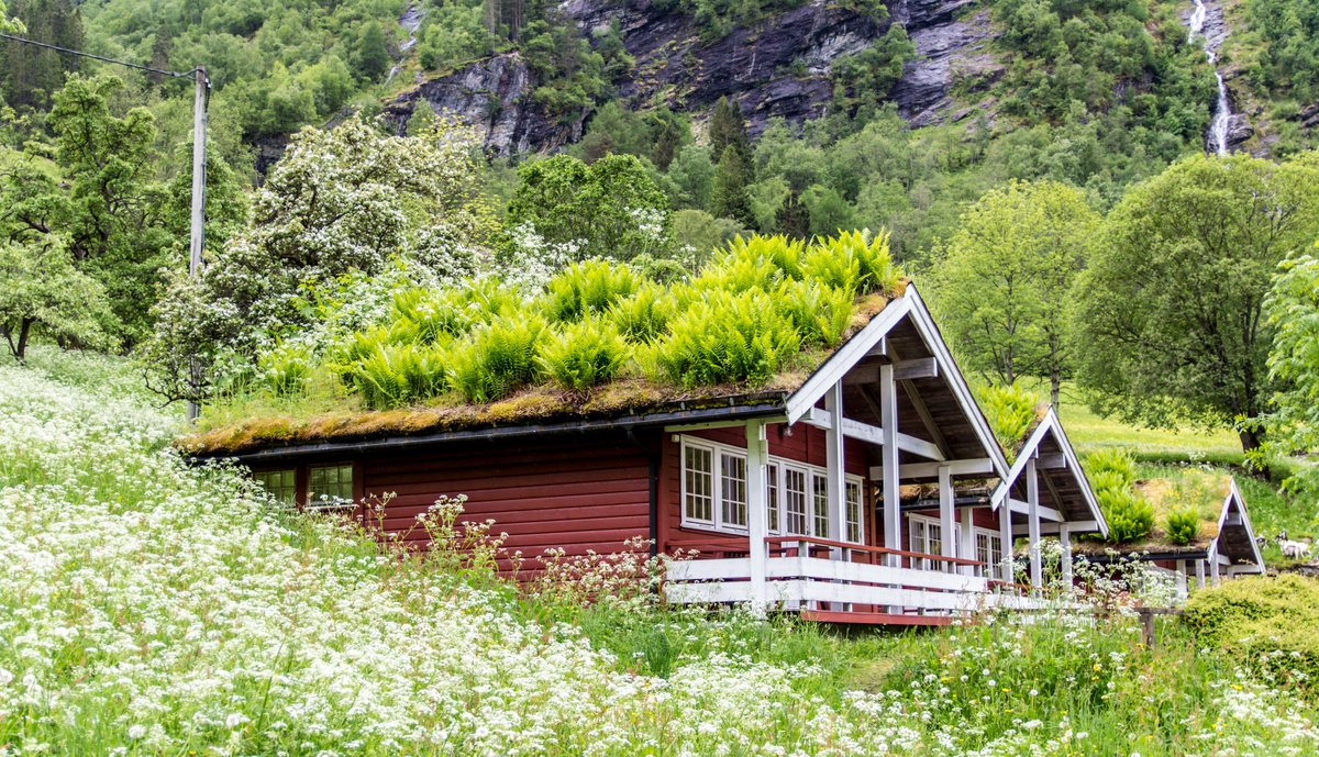 AlexWagnerPhoto's tweet photo. Geiranger - Norwegen - Juni 2017 
#norway #landscape #cabin #waterfall #geiranger #fjord #GeirangerFjord #Photography #Photo #Fotografie #Foto #visitbergen #visitnorway #uniladadventure #tuicruises #Canon #EOS100D #Sigma #AlexWagnerPhoto https://t.co/PkTXuWRXAi