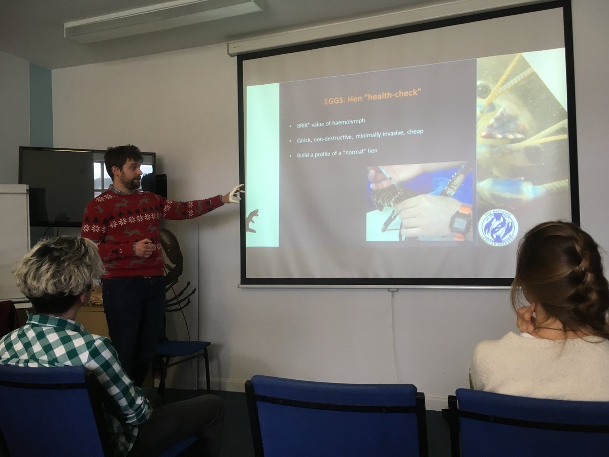 TheLobsterDr's tweet image. It&apos;s #ChristmasLecture Day at @PadstowLobster, and @iClawdius is showing his progress with Lobster Cultivator, a project to stabilise the raw ingredients of hatchery production; broodstock, water and feed. #TeamLobster