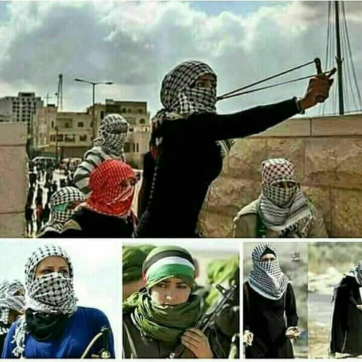 Aqsa_Palestine's tweet photo. Bukti sahih bahwa perempuan Palestina adalah perempuan paling tangguh dan berani di muka bumi.
 👇👇
#AksiBelaPalestina https://t.co/WhGlhfPDHa