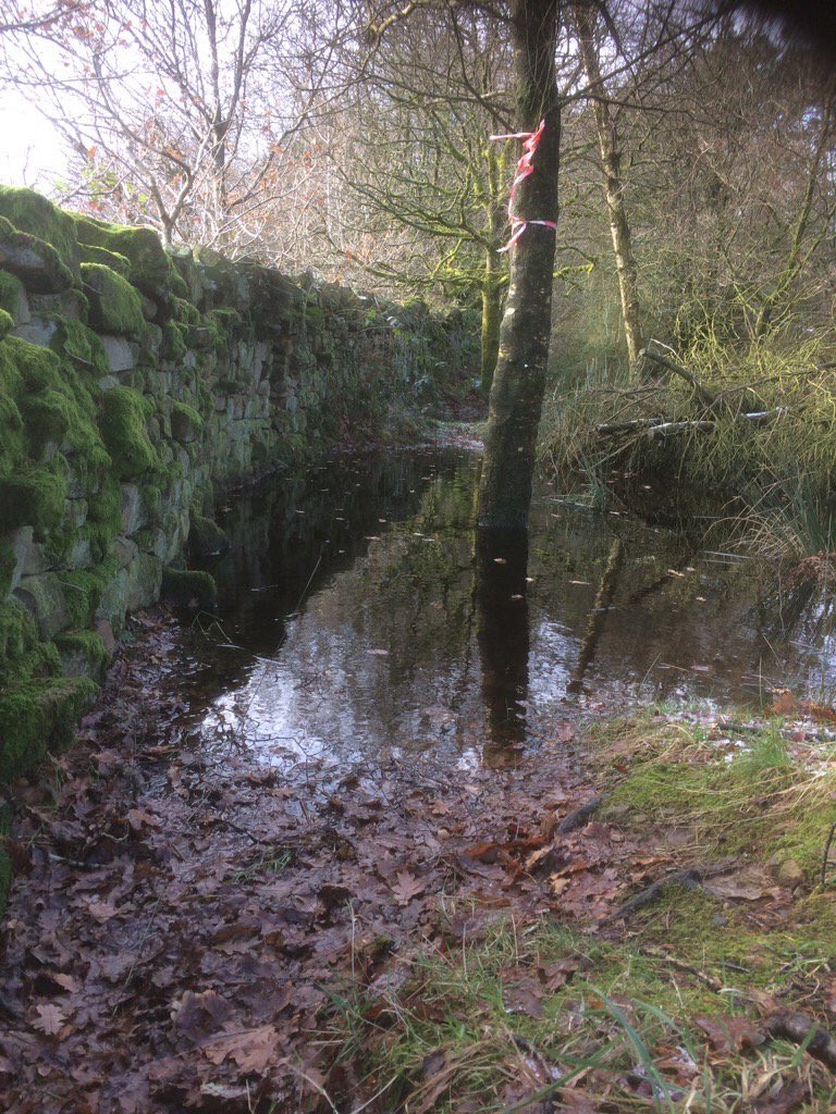 TrotTurkey's tweet photo. The Turkey Trot 'elephant trap' is looking cold. https://t.co/9Pm6AVOcls