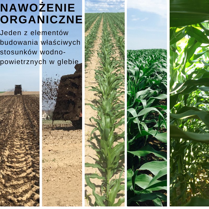 PolskaPerard's tweet photo. System nawożenia organicznego od PERARD #manure #fertilizer #soilcondition #agriculture #farming #aplikacjaobornika #rolnictwo  #strukturagleby #wydajność #kukurydza https://t.co/nJeDJmMdbx
