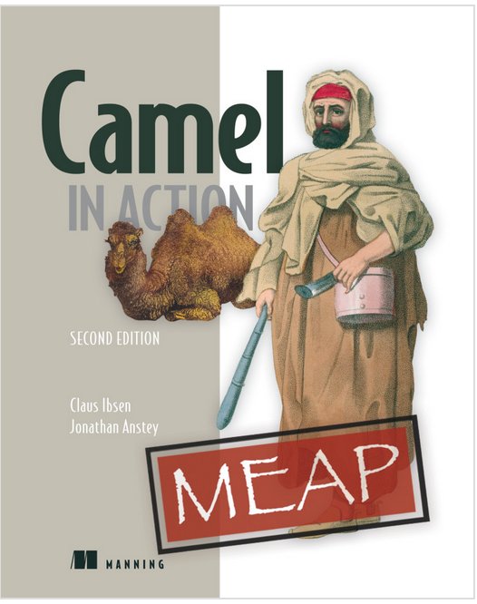 bibryam's tweet image. Two hardcopy books #KubernetesinAction #CamelinAction by @davsclaus &amp;amp; @markoluksa are almost completed. I haven&apos;t seen any other book that can go deeper into matters than these. Cannot wait to hold them in my hand.