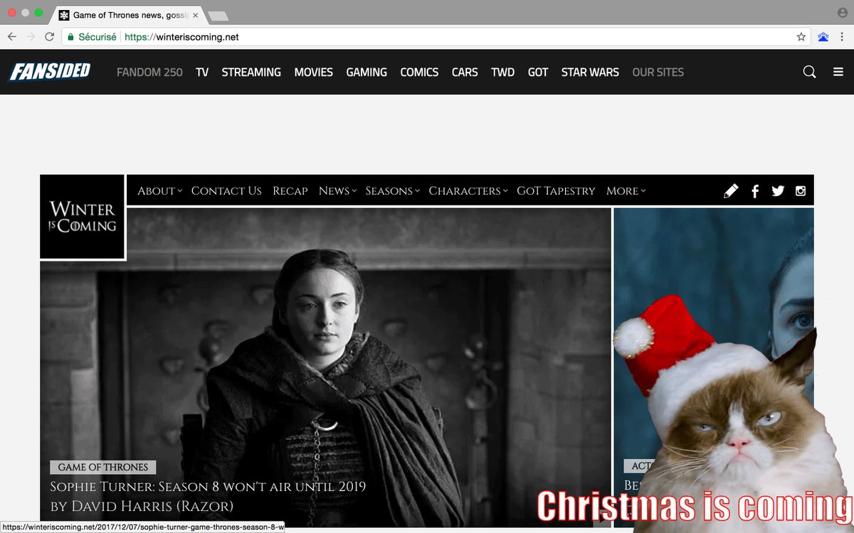 On dirait que <a href="/RealGrumpyCat/">Grumpy Cat</a> est prêt pour #Noël ! 😉🎅🏼