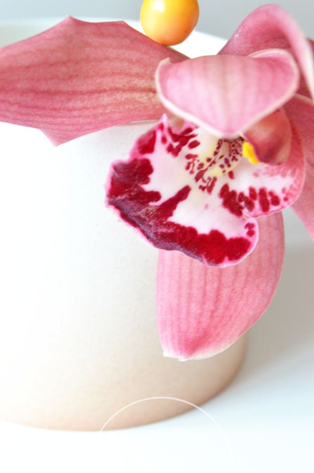 snijorchidee's tweet photo. Interieur- en groenblogger Sanne Horlings @DraadenSpijker laat zien hoe je je huis kerstproof maakt met #Cymbidium snijorchidee!
Lees haar blog! https://t.co/pSDBnSwcls  #orchidee #interieur #kerst https://t.co/qpPBRhyIBD