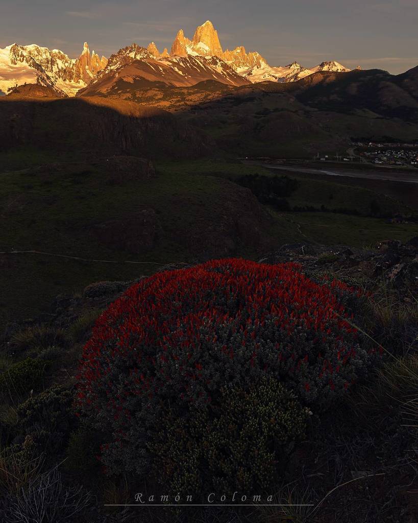Bikermon_R's tweet photo. Abro la serie de fotos de #Argentina con esta, que le tengo un especial cariño dado su trabajo, tanto en campo como en procesado. Esperaba un amanecer espectacular, pero el cielo estaba muy soso, así que no tenía más remedio que añadir algo de interés en… https://t.co/Yo3z7bUEhl https://t.co/8ETBIX65Mr