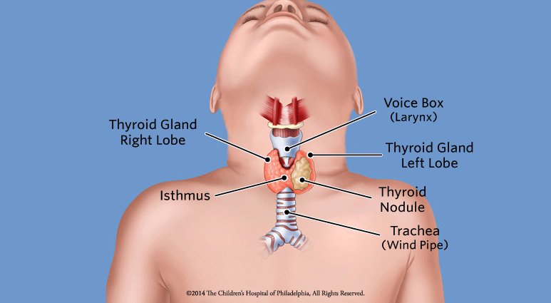 DonnaMedicina's tweet photo. #Efficacy of #homeopathic intervention in subclinical #hypothyroidism with or without #autoimmunethyroiditis in #children: an exploratory randomized control study.https://t.co/gwzr0C5rdh https://t.co/lyNxD1dJQ5