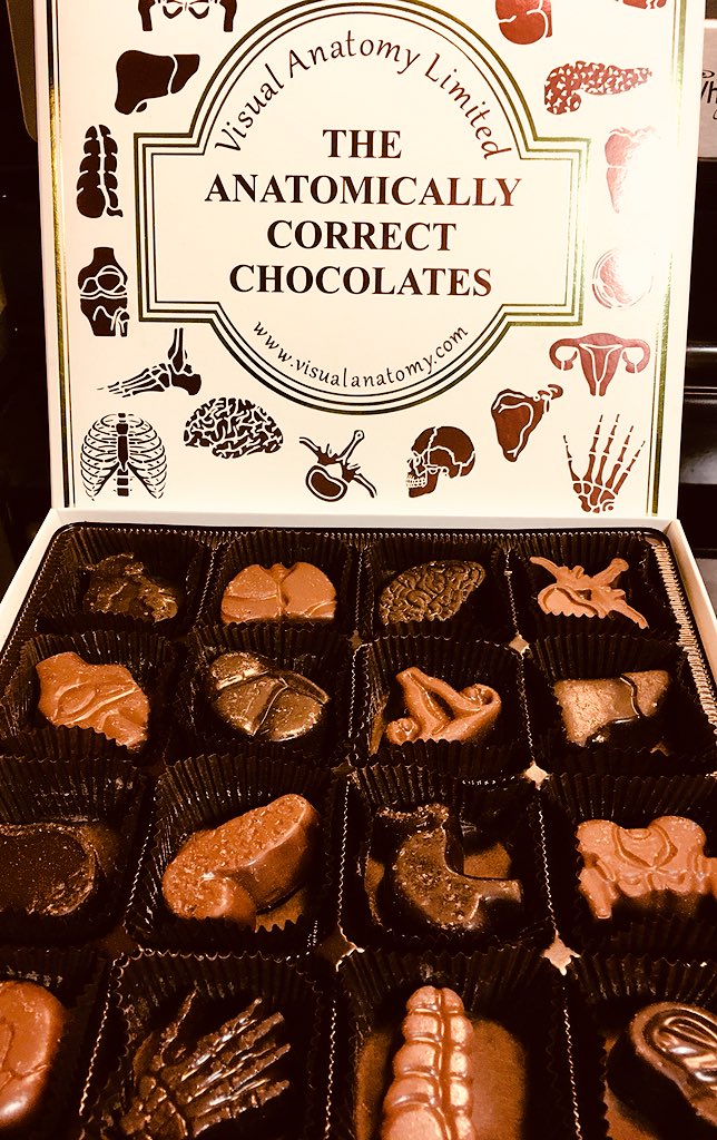 drjean_neuro's tweet photo. @meddy52 @SjCattledog @pastebbins @1720maryknoll @Thomas_F81 @rebeccascout1 @Momofonerotti @Yellowonetsy @jackel53 @MissyElsie @RIHANNON1967 Hope you enjoyed that candy bar, Michael!😃🍫 You definitely deserved it.😊Look what I received at a Christmas party!😅 #AnatomicallyCorrectChocolates #geek https://t.co/YR7NA0cuQo