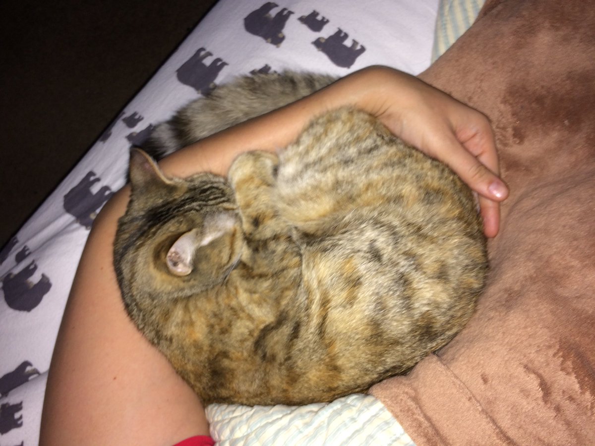 TabathaBobbi's tweet photo. I love snuggling with momz in the mornings. https://t.co/OSSFi83tHz