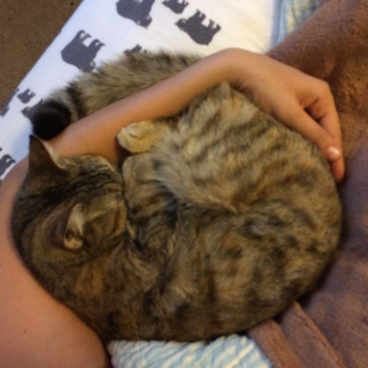 TabathaBobbi's tweet photo. I love snuggling with momz in the mornings. https://t.co/OSSFi83tHz
