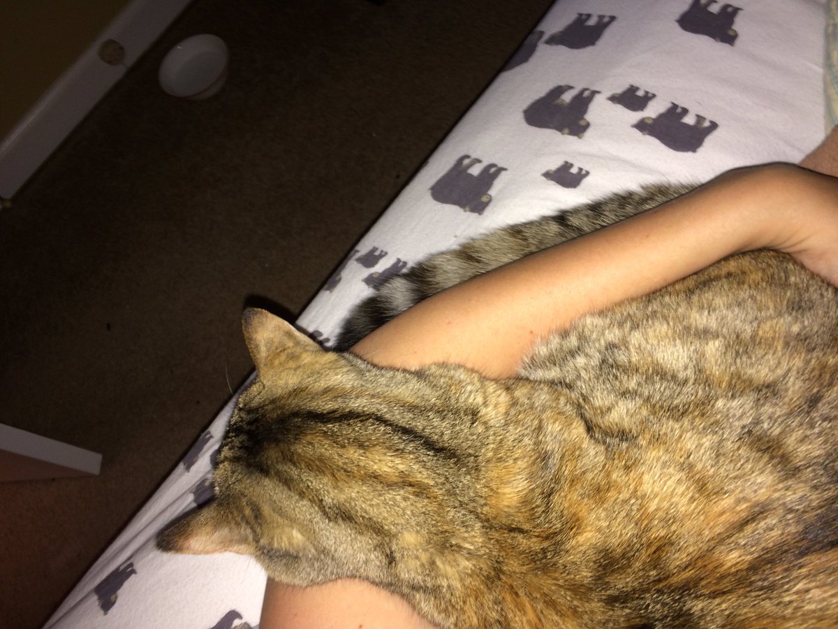 TabathaBobbi's tweet photo. I love snuggling with momz in the mornings. https://t.co/OSSFi83tHz