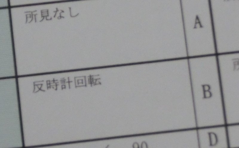 転用 砂漠 バケツ 心電図 反 時計 回転 Hotelchambuplaza Net