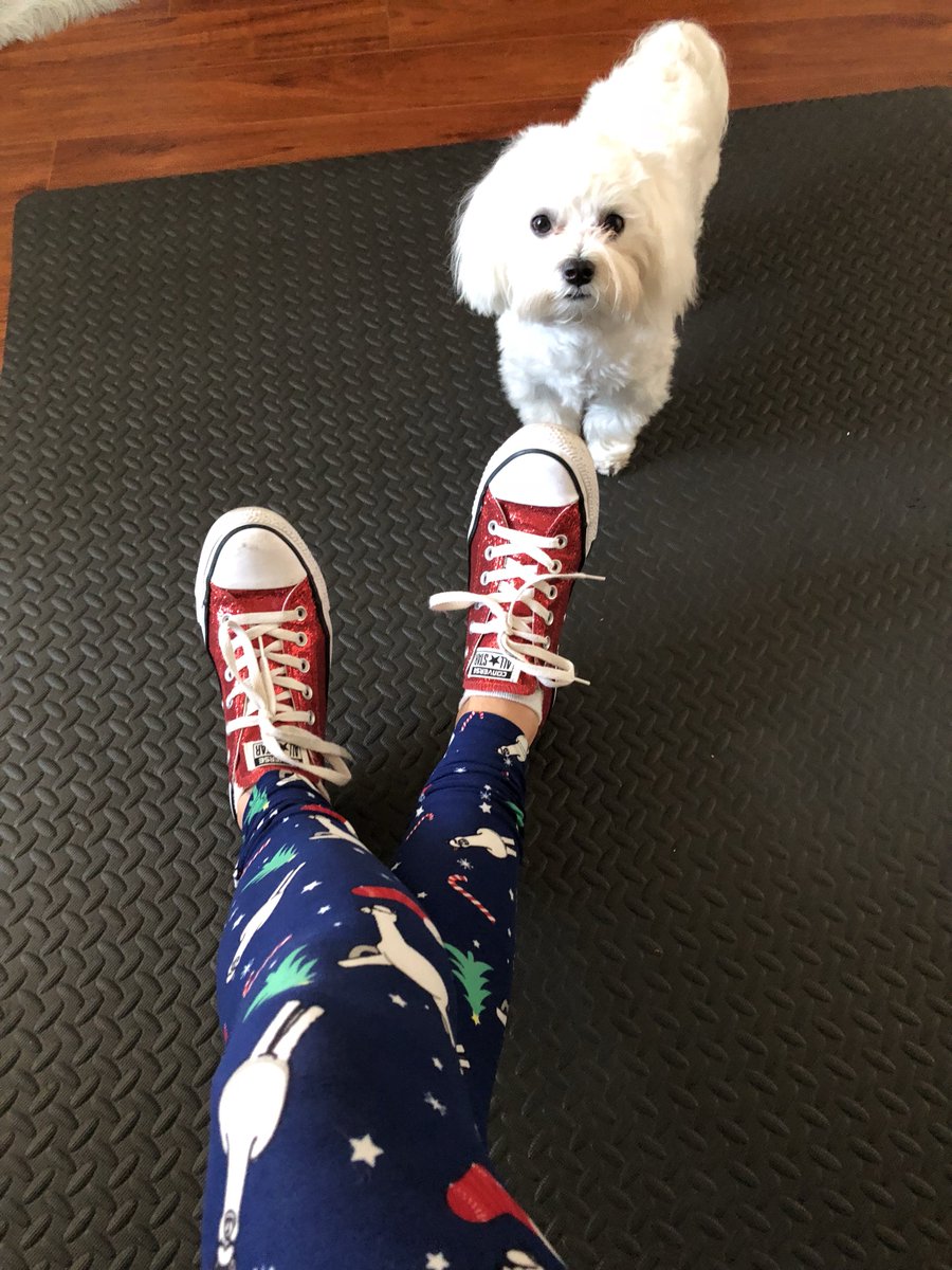 77reboot's tweet photo. Festive #FriYAY #RiseAndGrind #Christmastime #Henry #PhotoBomb #SoFloWellBody #FortLauderdale #SusanReardonWellness #Boston #77Reboot #LinkInBio https://t.co/2LR3odpqkn