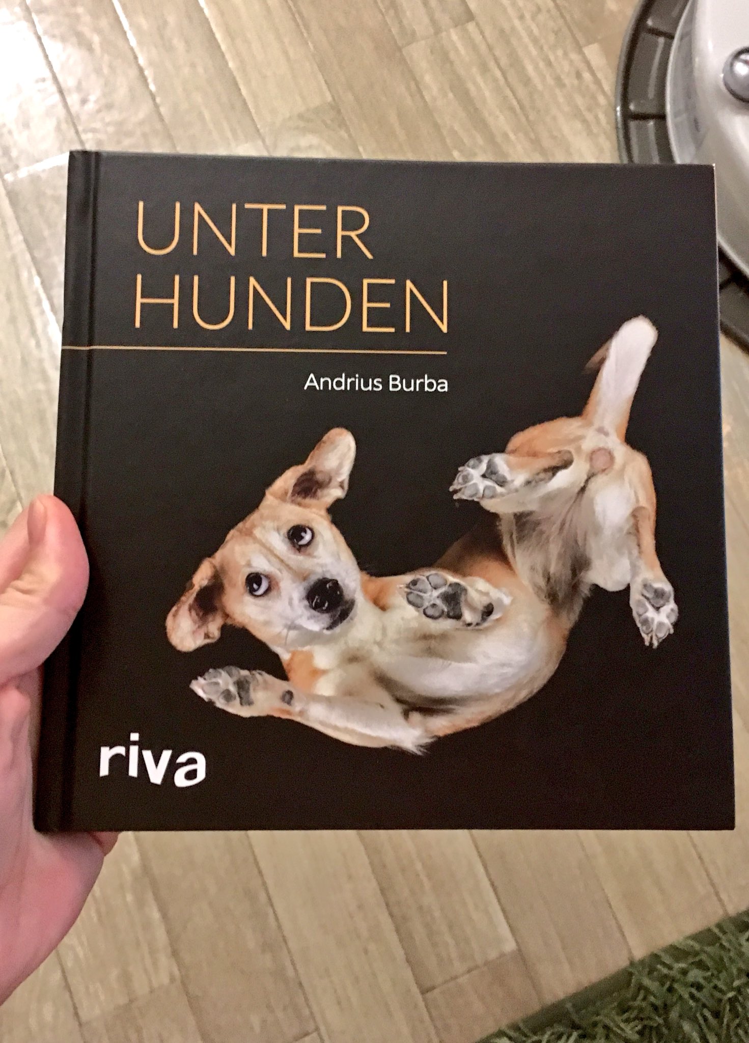 こいつはとんでもない変態だぜ 犬を真下から撮影しただけの写真集が意味不明 話題の画像プラス こいつはとんでもない変態だぜ 犬を真下から撮影しただけの写真集が意味不明 話題の画像プラス