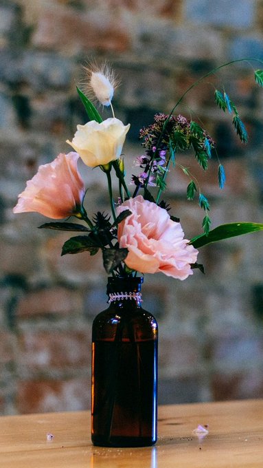 Современное искусство &mdash; это&nbsp;зона бедствия. Никогда еще&nbsp;в&nbsp;истории человечества столь многое не&nbsp;было сосредоточенно<a href="/tag/govegan"class="tags"><span>#govegan</span></a>