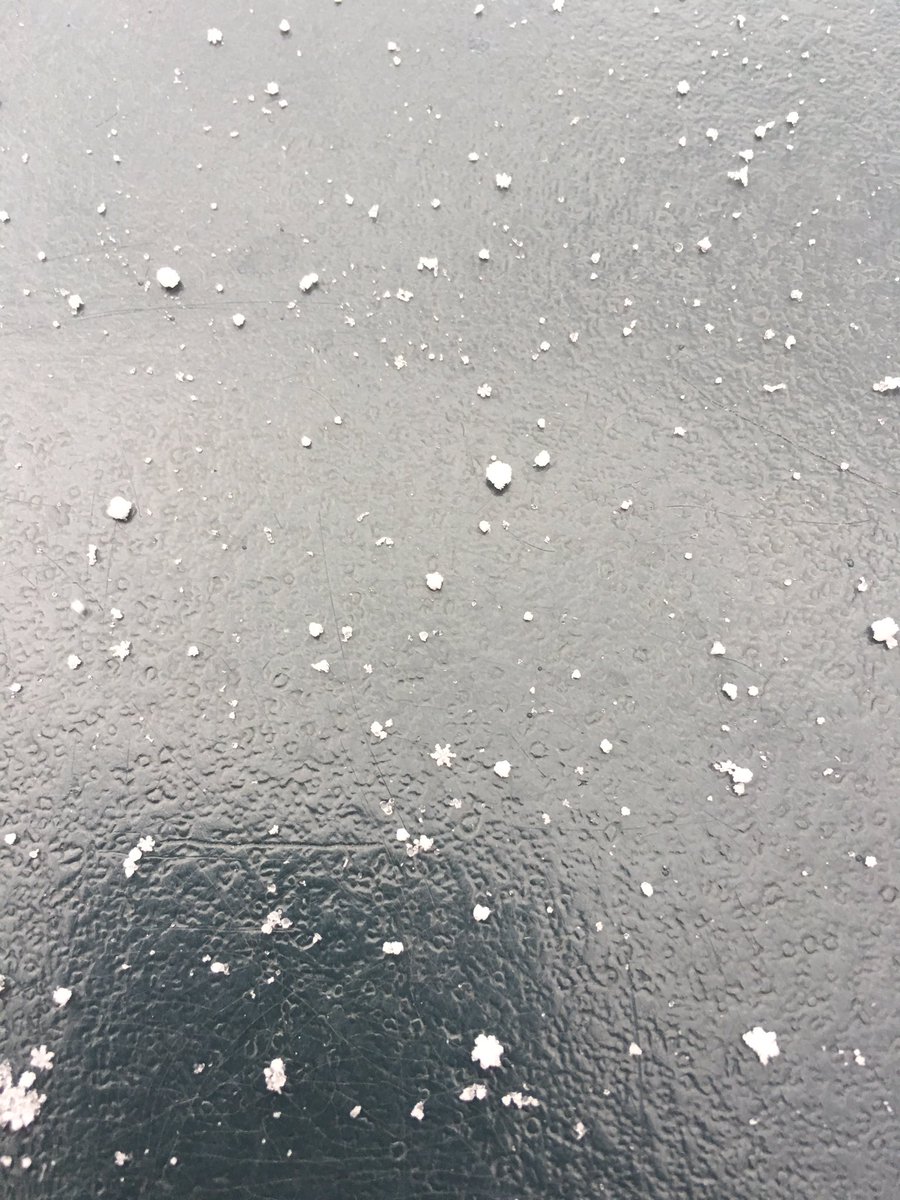 MrsLynchK's tweet photo. Young scientists observe the snow crystals @emerickelem1967 #lcps18 #lovetoteachgr2 https://t.co/I2qtXjJt7o