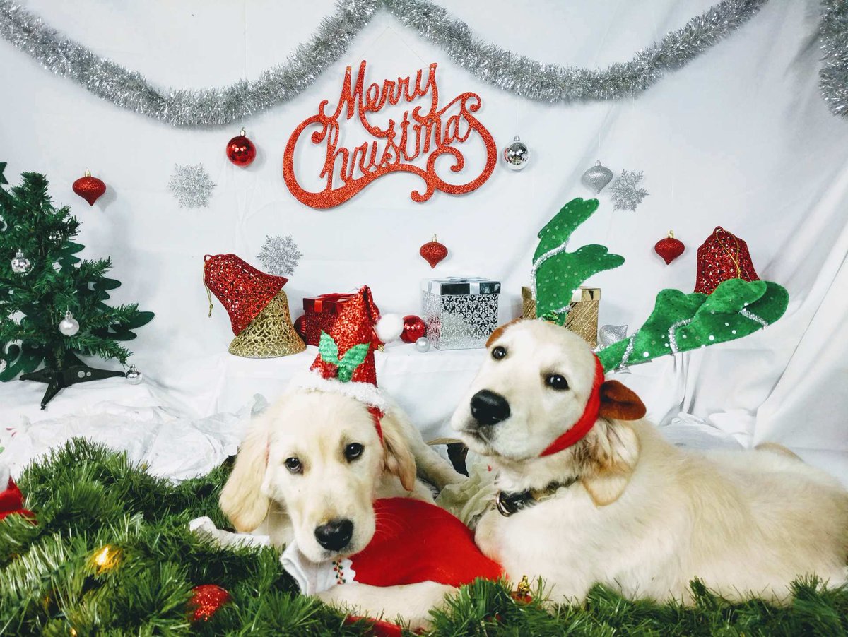 Michael Steele (@1620mps) on Twitter photo 