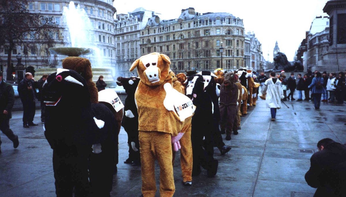 jameslovellx's tweet photo. Just seen myself on the news herding 30-pantomime cows around Trafalgar Square in 1997. @benandjerrysUK @ministryoffun1 #pantomimecow https://t.co/vpJaEeia4z