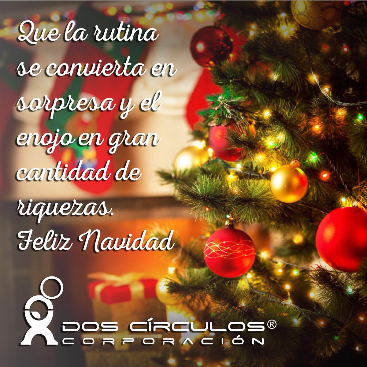 2Circulos's tweet photo. #felizviernes #diciembre #enjoy #findesemana #disfrutar https://t.co/Xq3LERaiPW