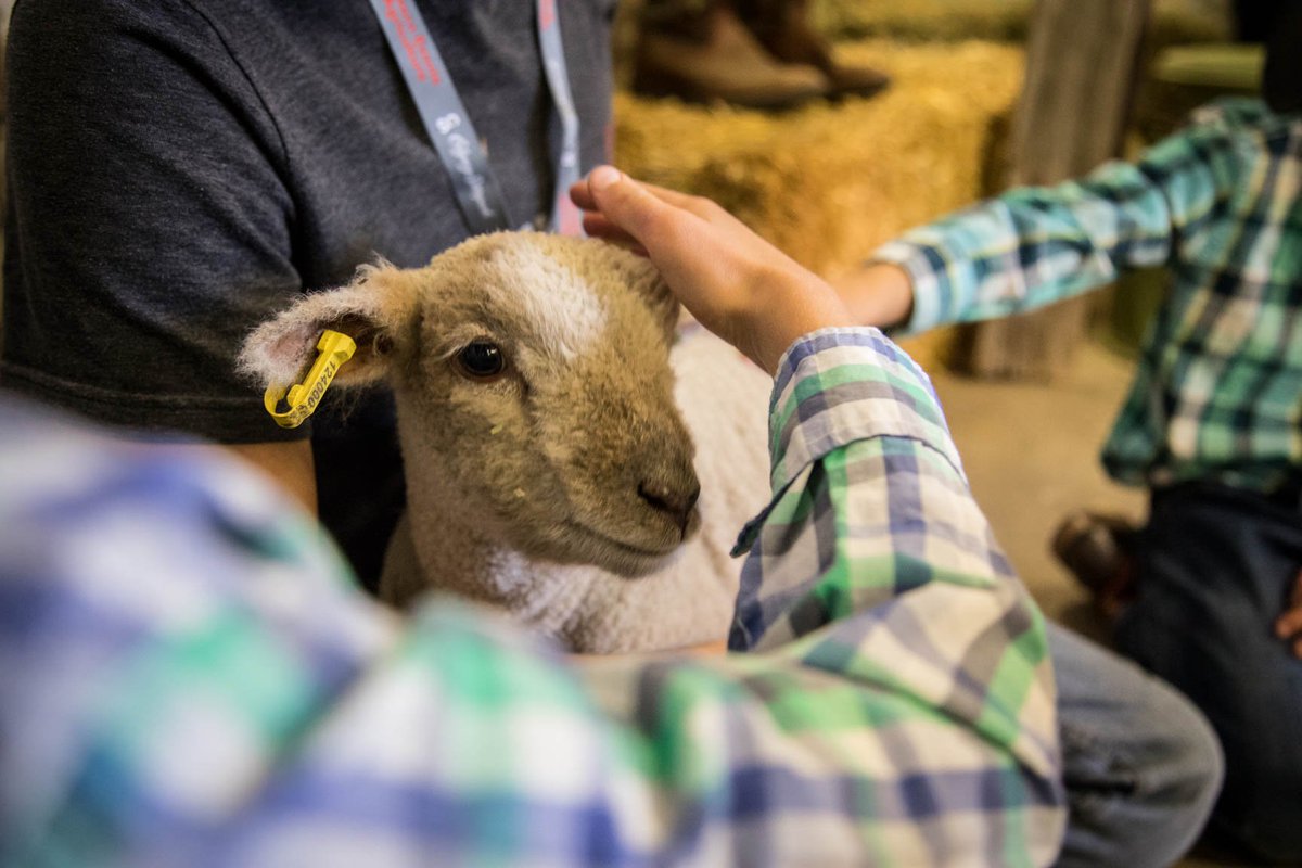 calgarystampede's tweet photo. We are proud of our connection with animals. Treating animals with respect and care is part of how we celebrate our western heritage and values. https://t.co/Mrn9ZtYyQY