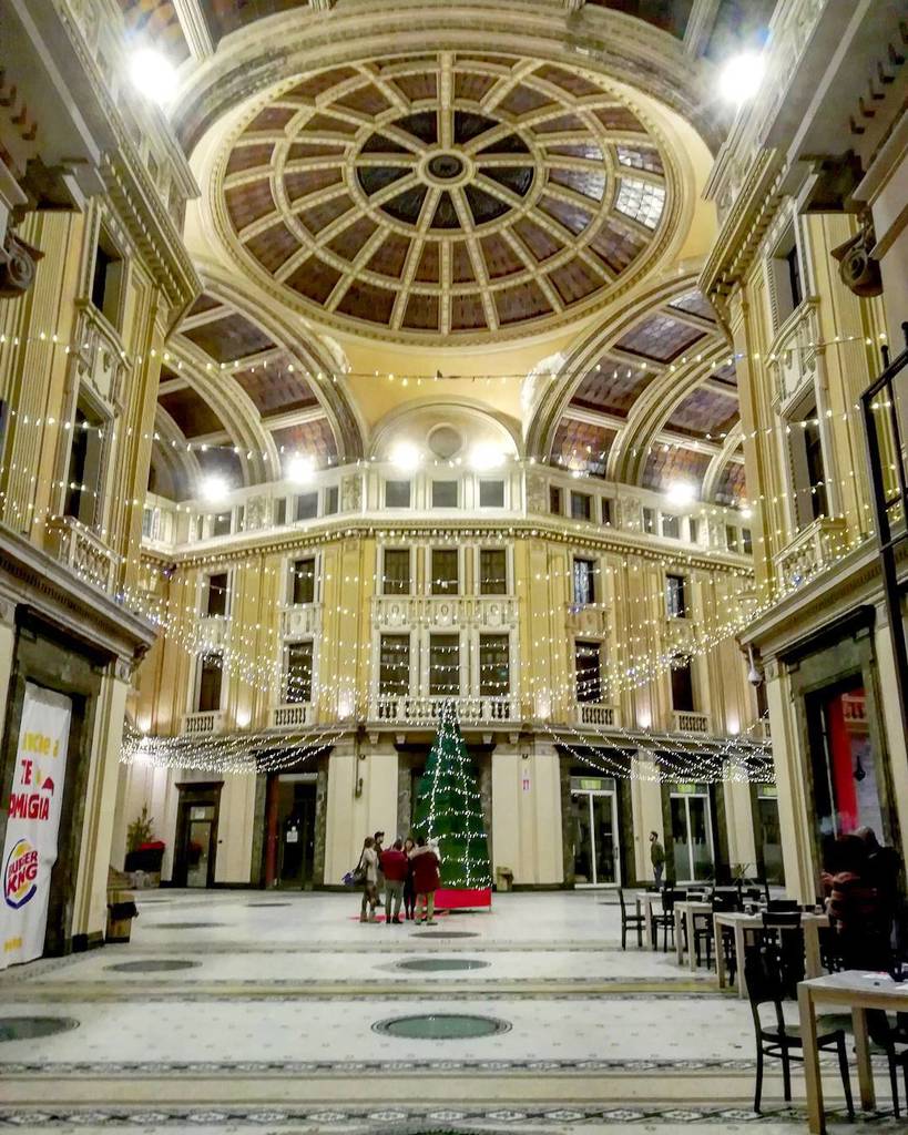 ACriticona's tweet photo. Christmas night, another fight
Tears we cried a flood
Got all kinds of poison in
Of poison in my blood

#christmastree #christmaslights #galleriavittorioemanuele #messina #messina_in #verso_sud_arte#traveling_arte #volgoarte #volgosicilia #vivosicilia#li… https://t.co/sQ0OEDv0OR https://t.co/U0AHHPFC3y