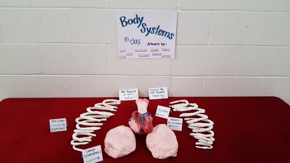 msesbulldogs's tweet photo. Mrs Craver's and Mrs Reasoner's fifth graders Renzulli research presentation! #msesbulldogs #WeLoveScience #A+LearningRocks #WSFCSScience https://t.co/GVTEKVL8vQ