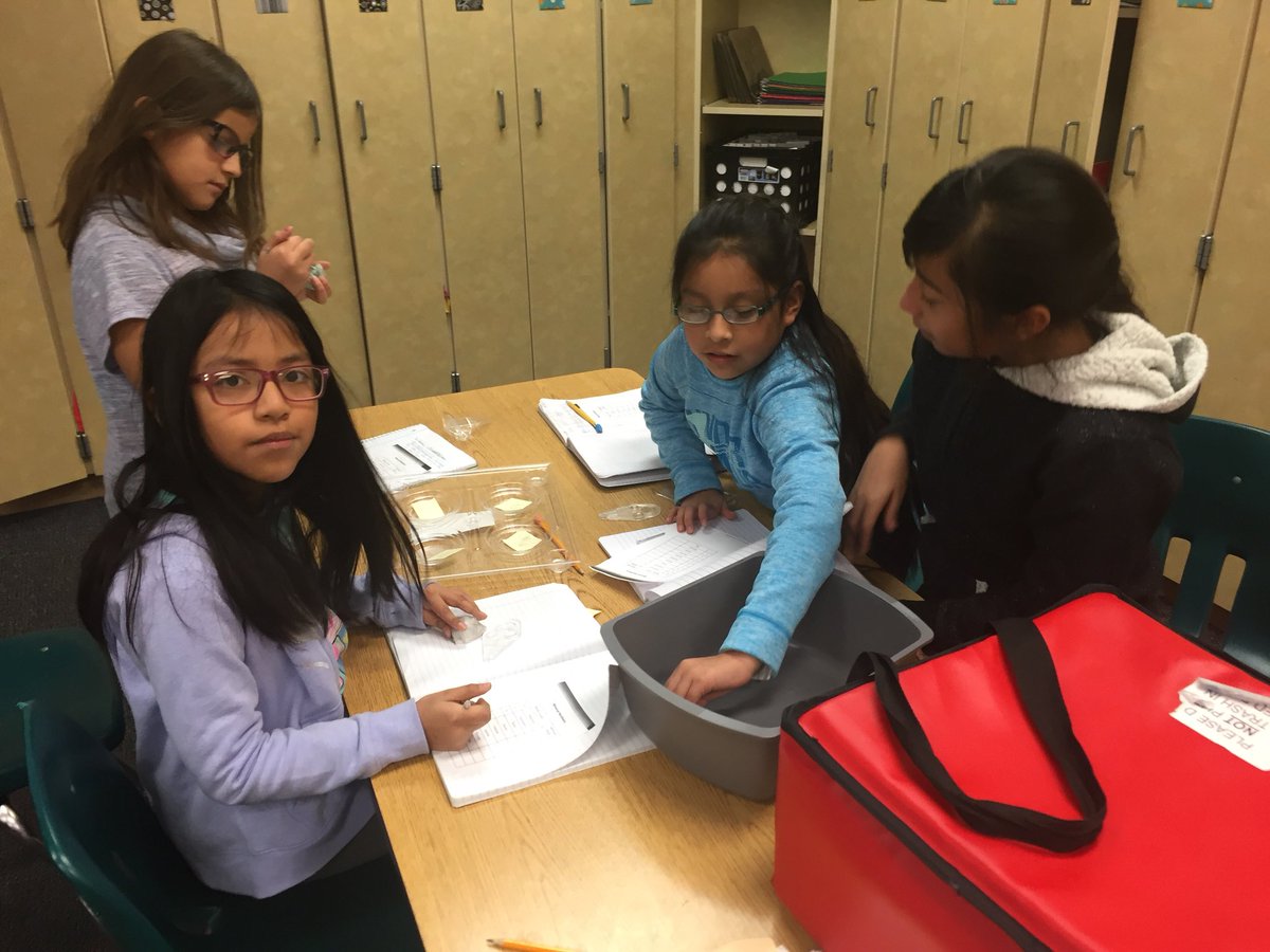 heatherjo417's tweet photo. Mineral hardness test. We are loving learning about rocks and minerals. #WeRRichmond #WeRScientists #ABetterFairview https://t.co/tjofloUAs0