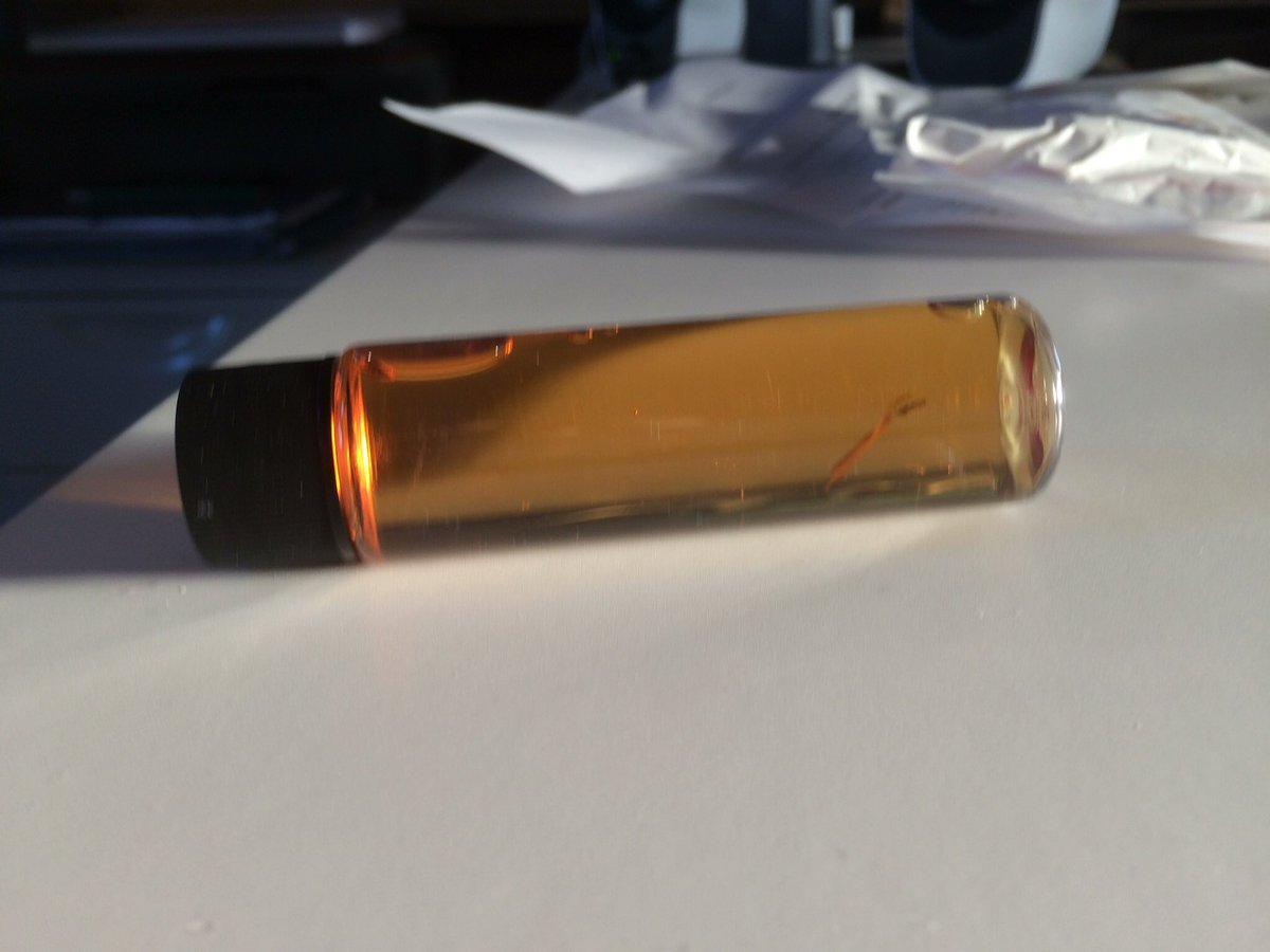 Kyle James Riley tweet media