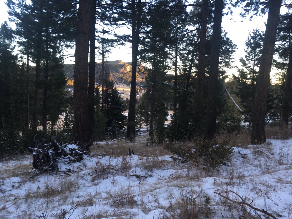 JCOSRanger15's tweet photo. Trail status update for #MeyerRanch and #FlyingJRanch: Snow-packed/ice. Traction device for shoes highly recommended. Happy Friday! @JeffcoOpenSpace #jeffcotrails https://t.co/u2B2wcirqz