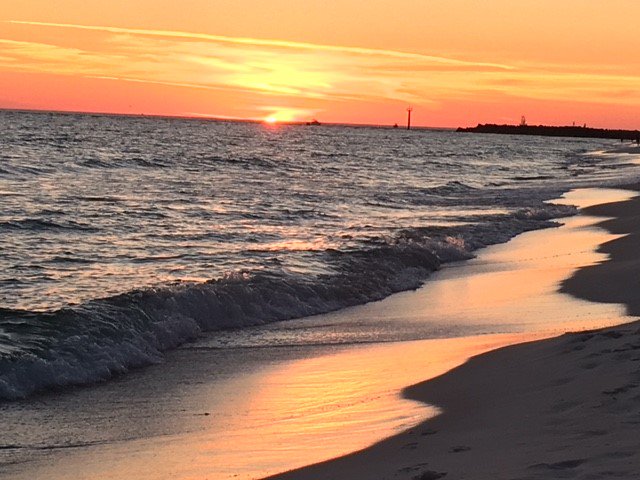 Holly Day tweet media