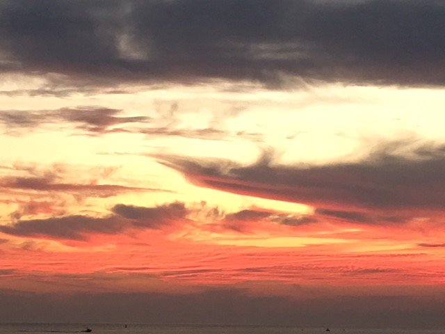 Holly Day tweet media