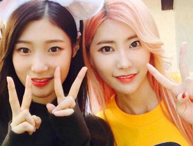 cathyxchaeyeon's tweet photo. i miss them :( https://t.co/0cZyjP0Mq5